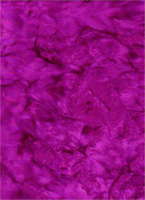 Fuschia Blender 44" batik by Batik Textiles, 4541B