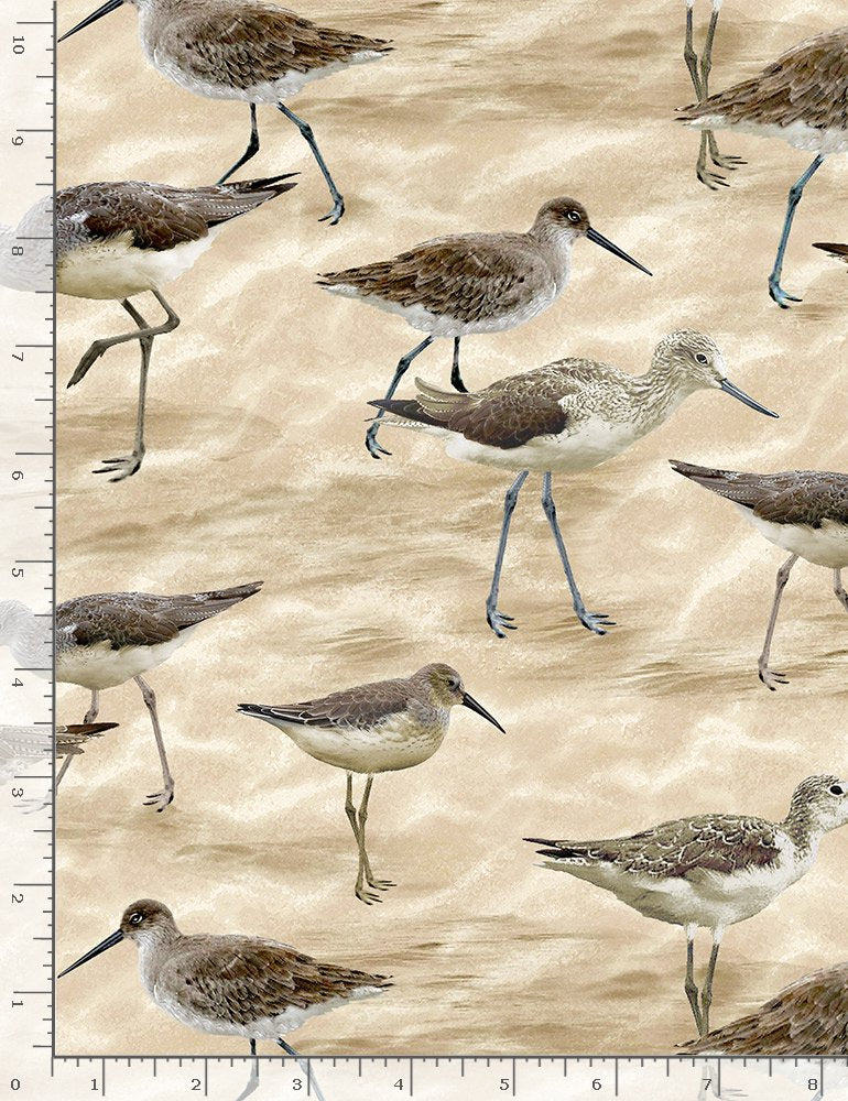 Natural Sandpipers 44" fabric by Timeless Treasures, C8393