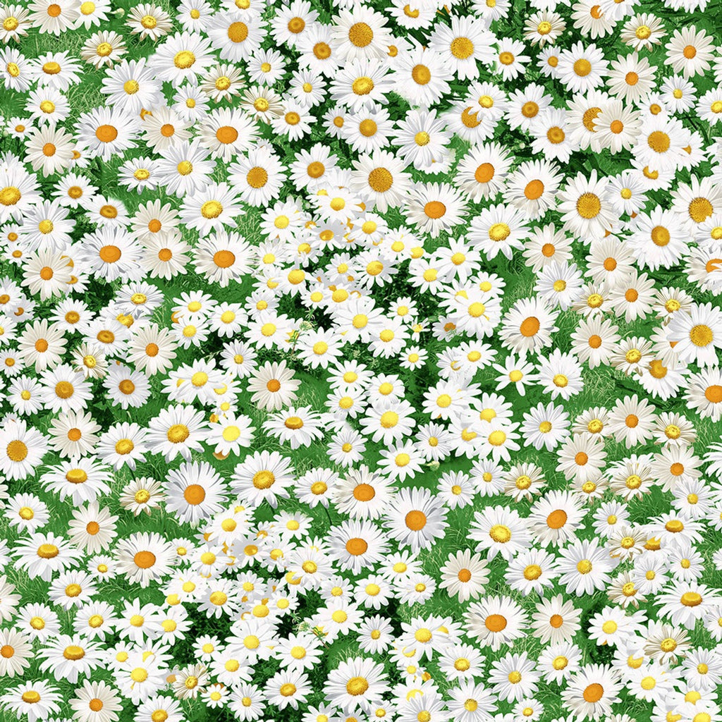 Daisy Flowers 44" fabric by Timeless Treasures, C7471