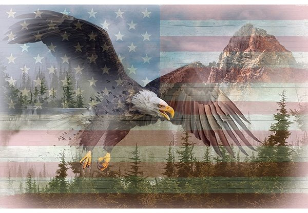 Hoffman Panel 29" digital Americana panel V5215