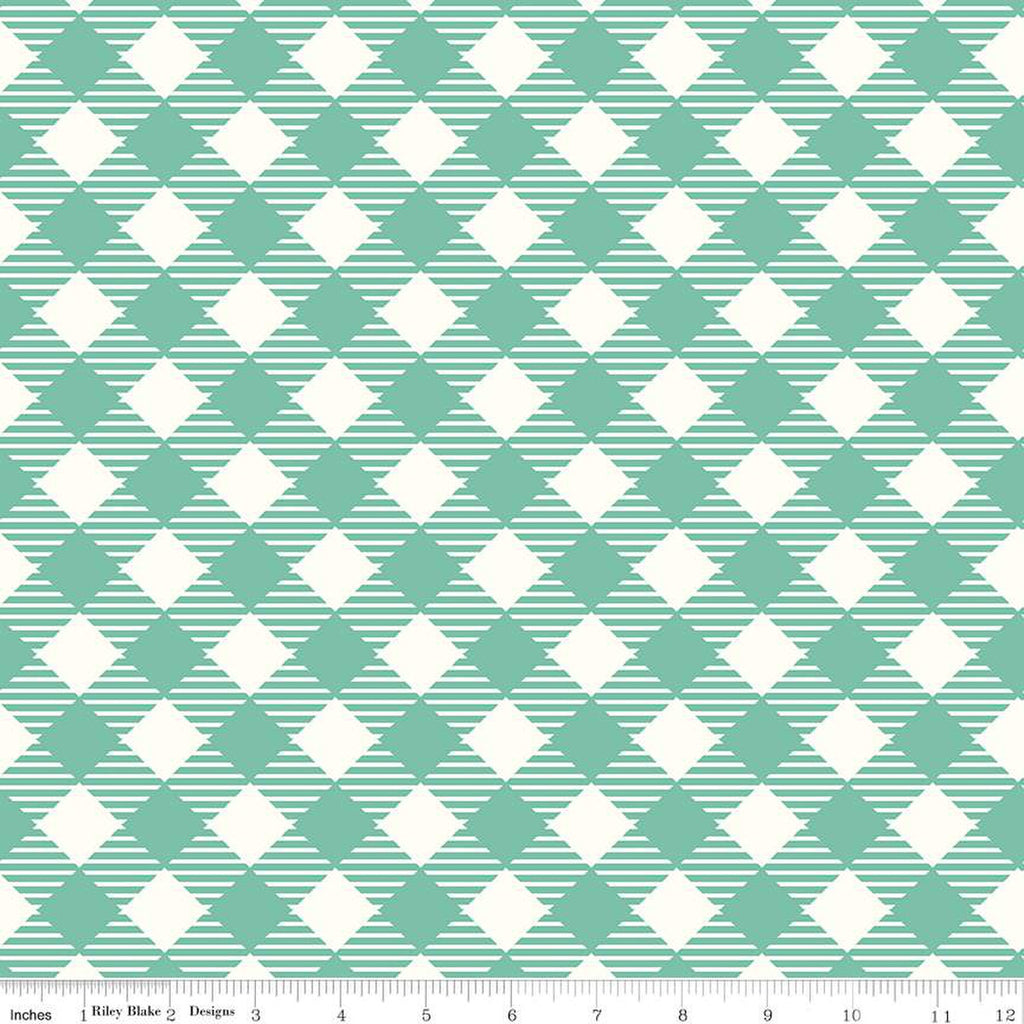 Sea Glass Gingham 108" fabric by Riley Blake, WB12562-Sea Glass