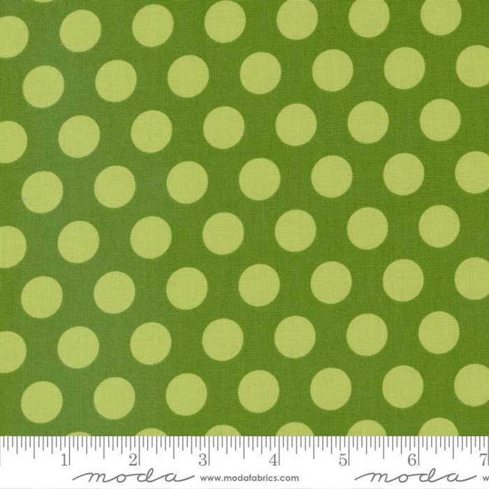 Evergreen Dots 108" fabric by Moda, 108008 17, My Favorite Things