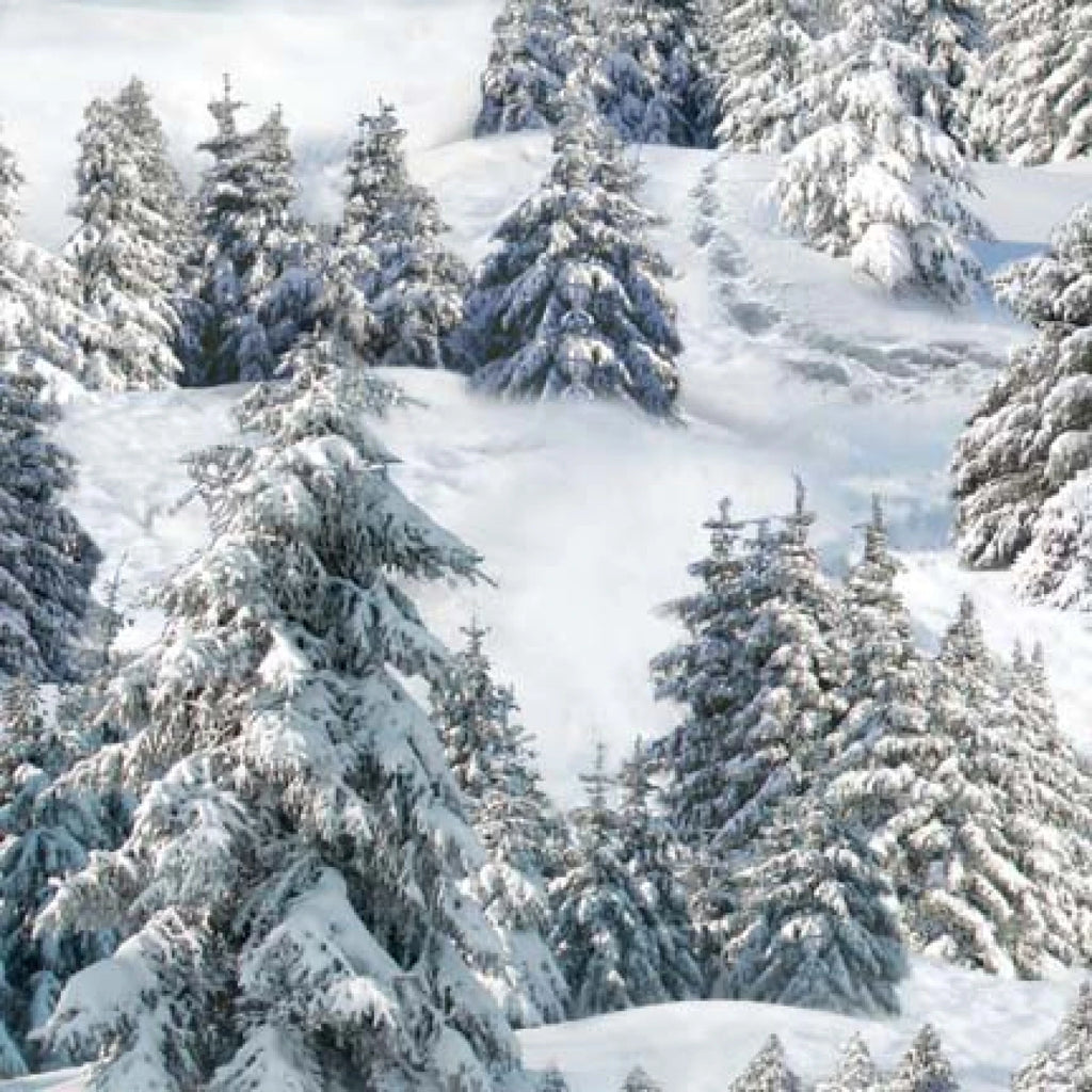White Snow Pine Trees 44" fabric by Elizabeths Studio, 215-wht