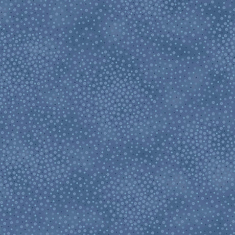 Blue/Gray Spotsy 108" fabric by Quilting Treasures, 29913 - NB