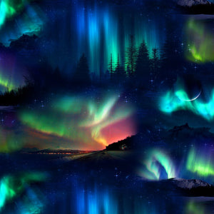 Northern Lights 44" fabric by Elizabeths Studio, 502-blk,  Landscape Medley