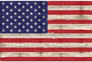 Hoffman 31" panel T4892-159, American Flag