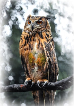 Hoffman 32" panel T4908-66, Owl