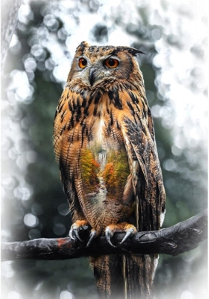 Hoffman 32" panel T4908-66, Owl