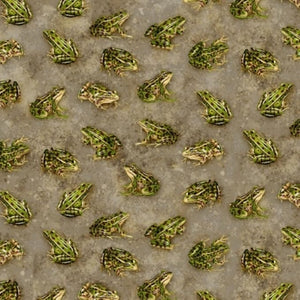 Grey Frogs, Backyard wildlife, 44" fabric by Timeless Treasures, C1177