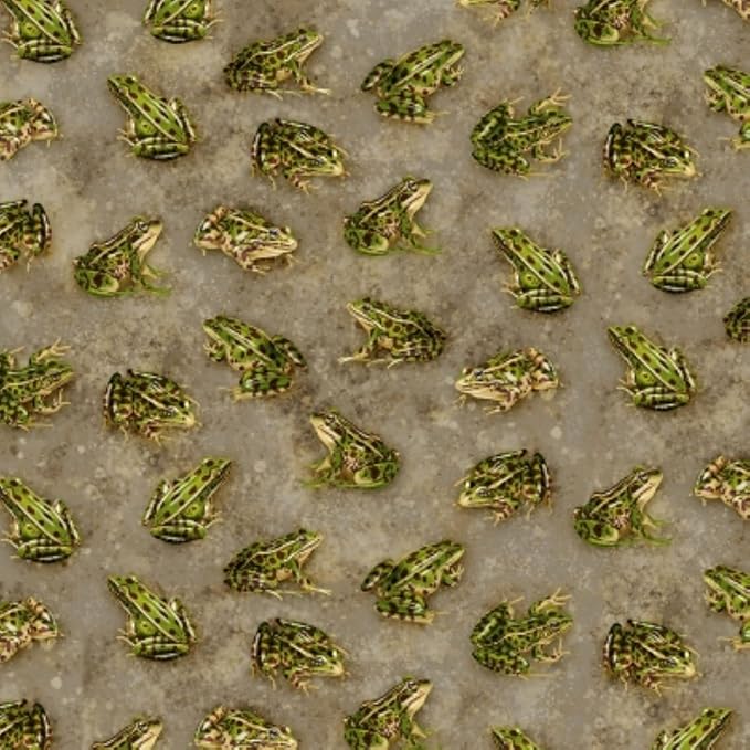 Grey Frogs, Backyard wildlife, 44" fabric by Timeless Treasures, C1177