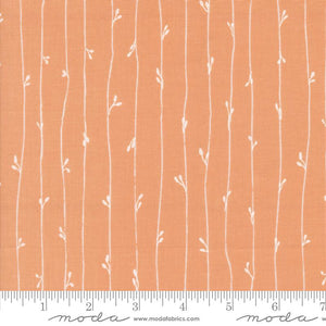 Peach Rainier 44" fabric by Moda, 38146 21