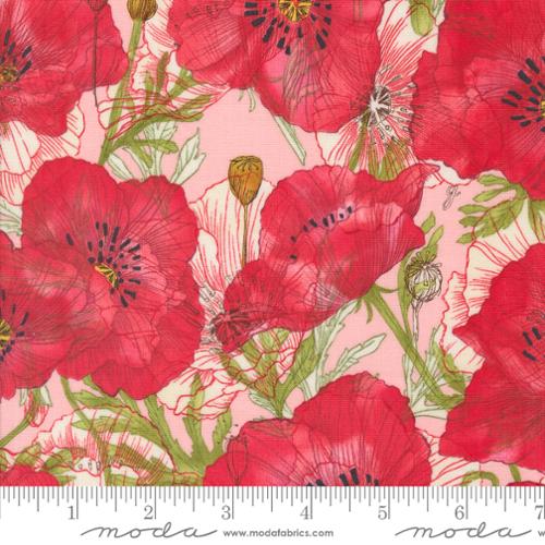 Superbloom Carnation 44" fabric by Moda, 48781 19, Robin Pickens