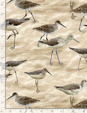 Natural Sandpipers 44" fabric by Timeless Treasures, C8393