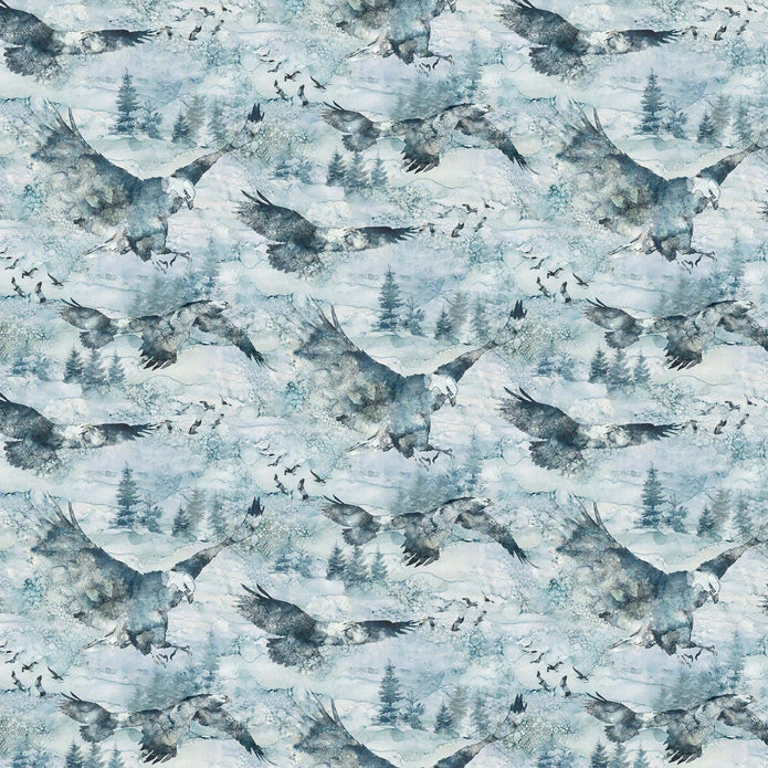 Eagles 44" fabric by Northcott, DP24583-42, Soar