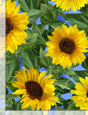 Large Leafy Sunflower 44" fabric by Timeless Treasures, Fleur-C1132
