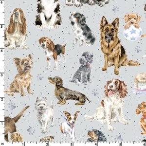 Grey directional dogs 44" fabric by Maywood, MAS10415-K, Whiskers & Paws