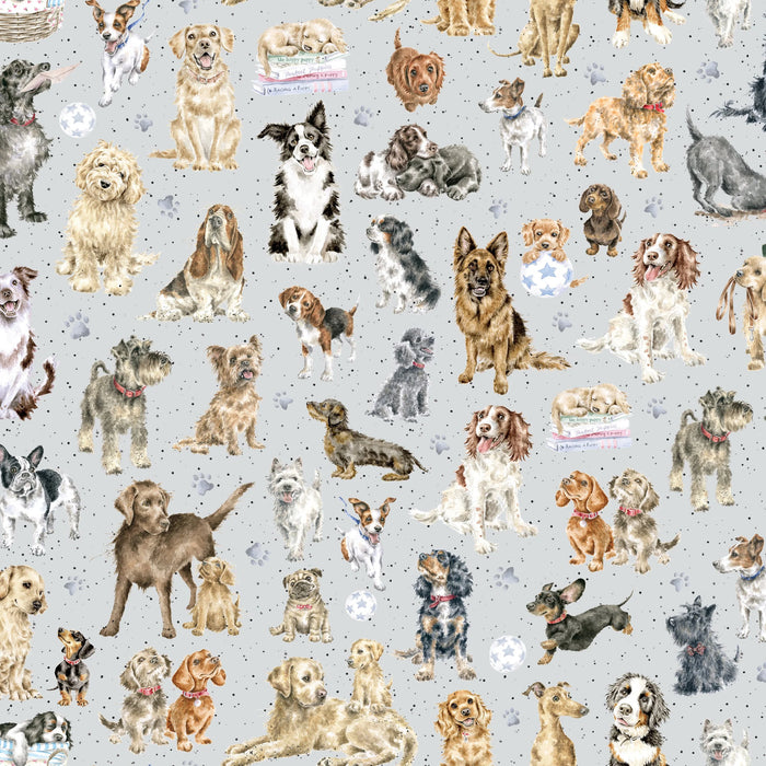 Grey directional dogs 44" fabric by Maywood, MAS10415-K, Whiskers & Paws