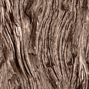 Brown Driftwood 44" fabric by Quilting Treasures, 28113-A