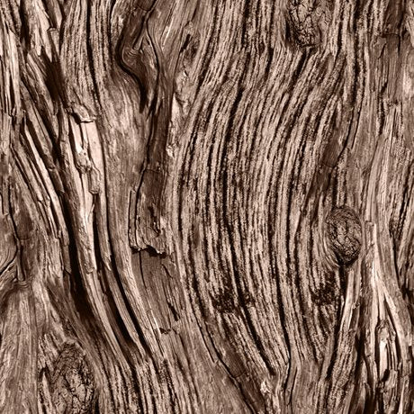 Brown Driftwood 44" fabric by Quilting Treasures, 28113-A