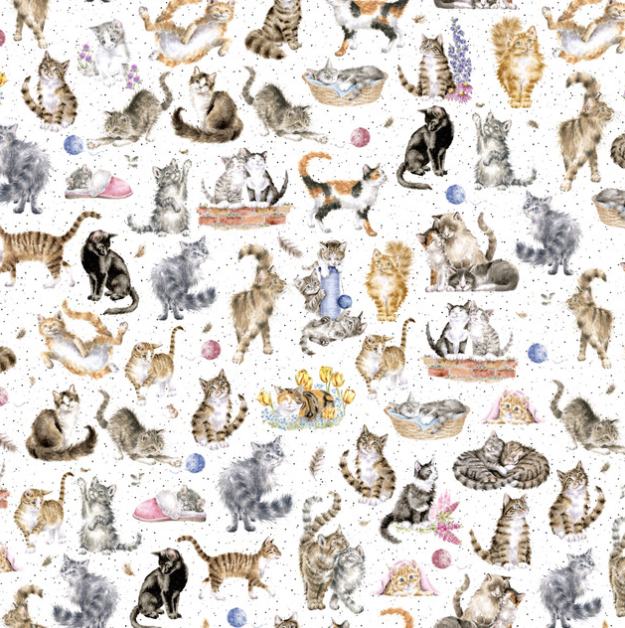 Directional Cats 44" fabric by Maywood, MAS10414-W, Whiskers & Paws