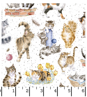 Directional Cats 44" fabric by Maywood, MAS10414-W, Whiskers & Paws