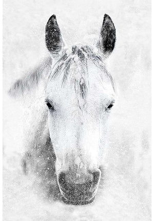 Hoffman Panel 29" digital Horse U5017 Storm