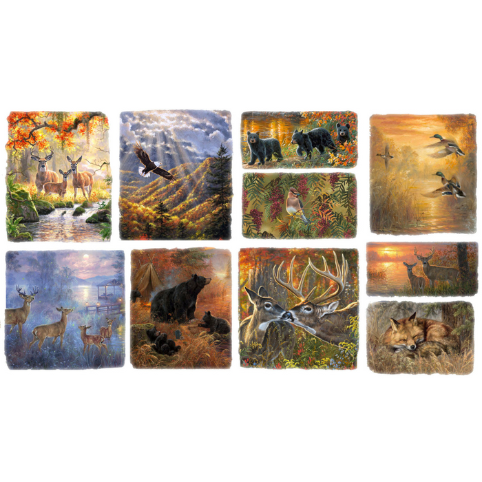 Whitetail Country 22200 Multi - Countryside Patch 36" panel by 3 wishes