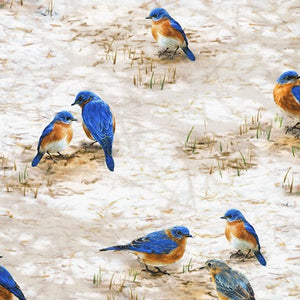 Eastern Bluebird 44" fabric by Kaufman, AHYD-20030-443, Winter Visitors
