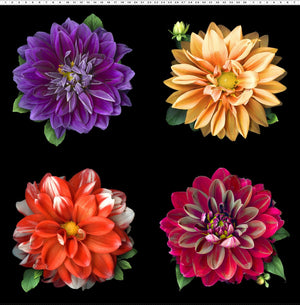Dahlia Flowers 44" digital panel by Clothworks, Tinas Garden, Y3674-55
