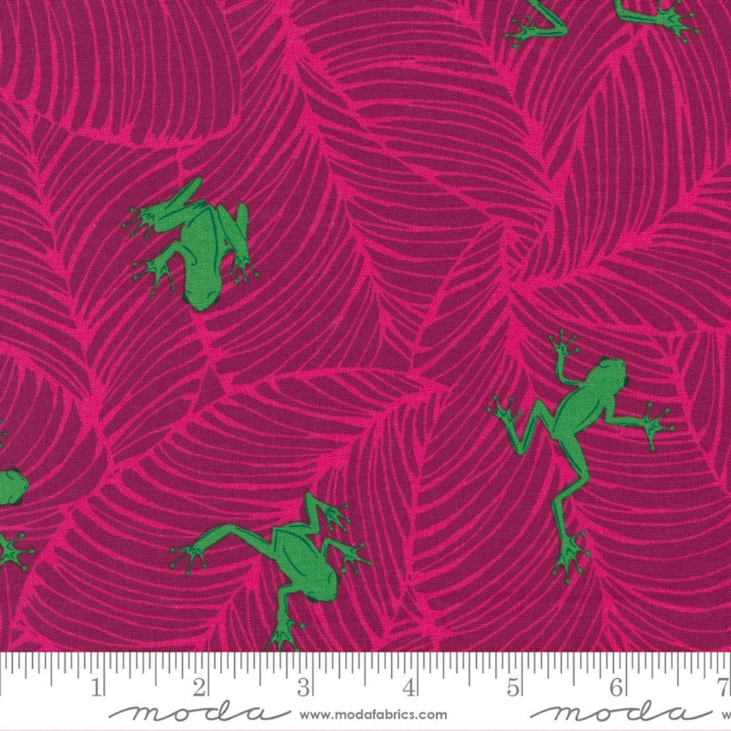 Novelty Frogs 44" fabric by Moda, 20786 17, Oh Froggy Jungle Paradise
