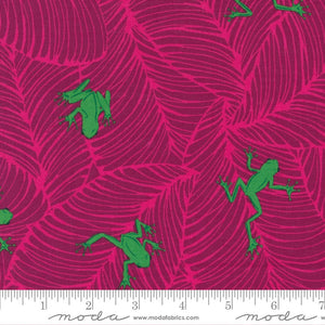 Novelty Frogs 44" fabric by Moda, 20786 17, Oh Froggy Jungle Paradise