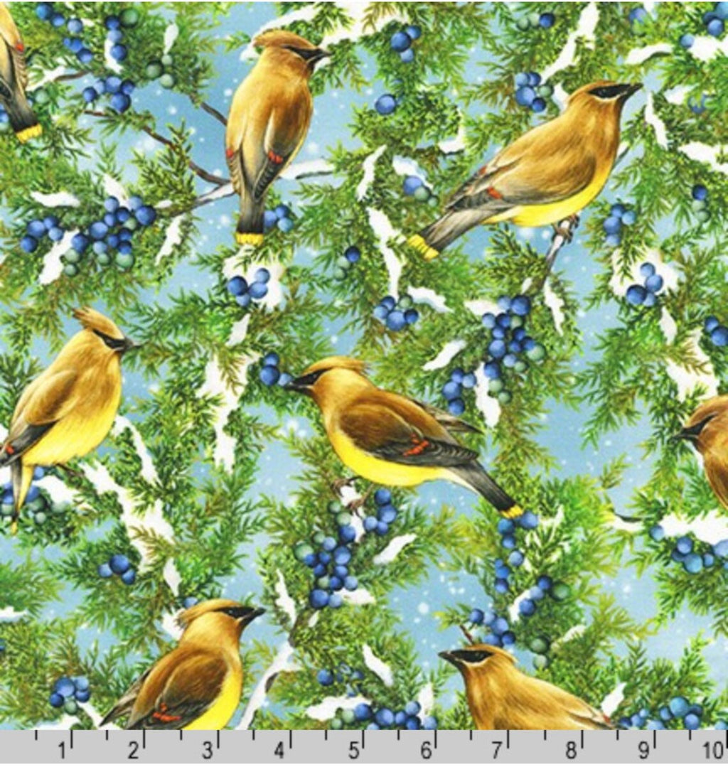 Winter Visitors Birds & Berries 44" fabric by Kaufman, AHYD-20032-439, Cedarwax