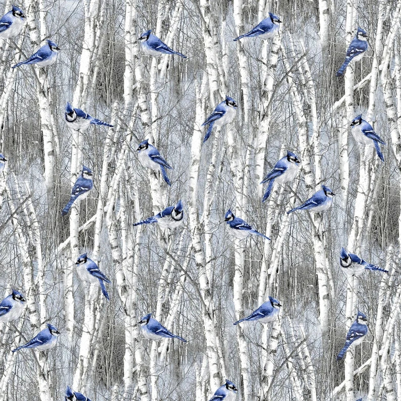 Winter Blue Jays 44" fabric by Timeless Treasures, Bird-C7851