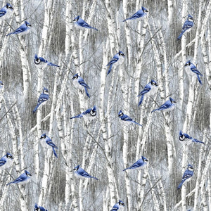Winter Blue Jays 44" fabric by Timeless Treasures, Bird-C7851
