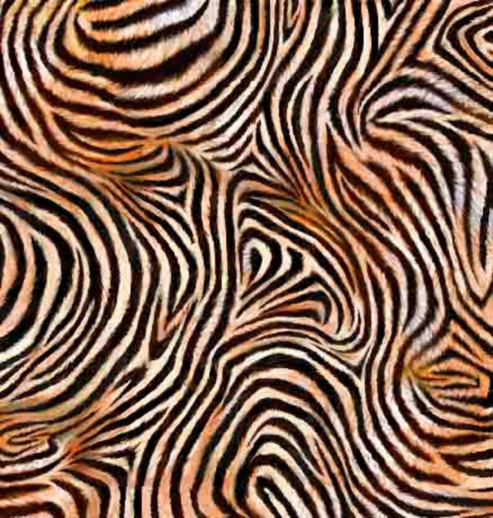 Zebra Skin 44" fabric by Quilting Treasure, 29240-O, Zebra Sunset