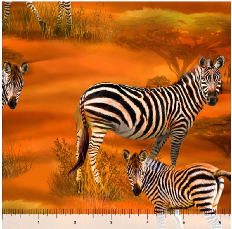 Zebra Sunset Zebra Scenic Orange 44" fabric by Quilting Treasures, 29238-O