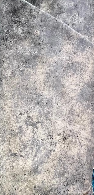 Mountain Mist 108" fabric by Northcott, B26800-92, Gray Stonehenge