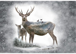 Hoffman Call of The Wild Digital S4723-112 Dawn Deer 30" Digital Panel Fabric