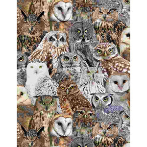 Packed Realistic Owls 44" fabric by Timeless Treasures, Bird-C7947