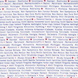 White State Names 44" fabric by Blank Quilting, 1481-01, One Land, One Flag