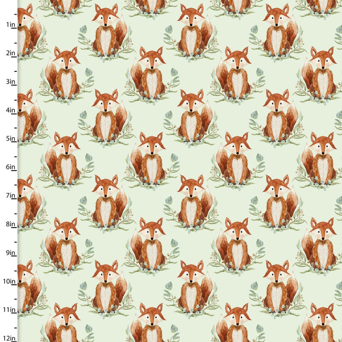 Fox Green 44" fabric by 3 wishes, 18680-grn, Forest Friends