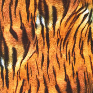 Wild Tiger Sateen 108" fabric by Robert Kaufman, SRKX-20440-286, Animal Kingdom