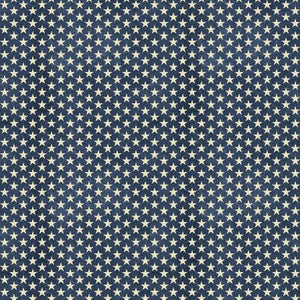 Beige stars on blue 44" fabric by Benartex, 02606-55, Many Stars Blue