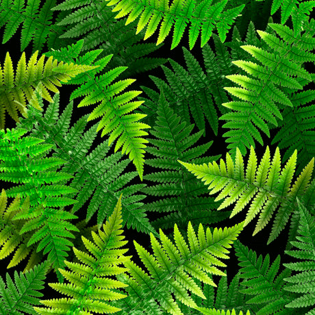 Ferns, 44" fabric by Quilting Treasures,  28105-G, Open Air