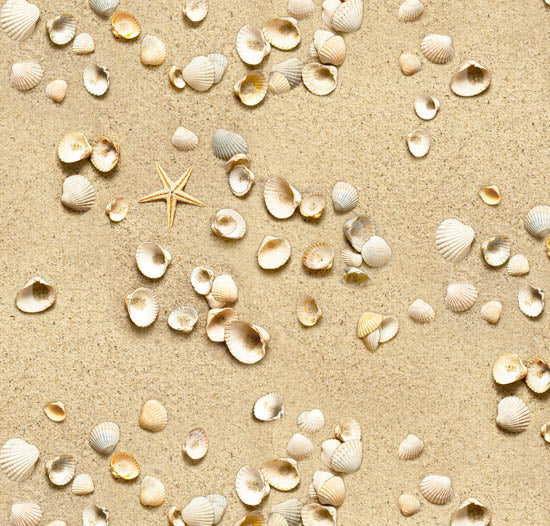 Beach Sand with Seashells 44" fabric by Elizabeth's Studio, 555-sand