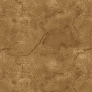 Caramel Brown Texture 44" fabric by Blank Quilting, 7101-35