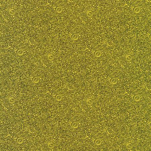 Yellow Geo 44" fabric, Robert Kaufman, Avod-19583-5, Coffee Break