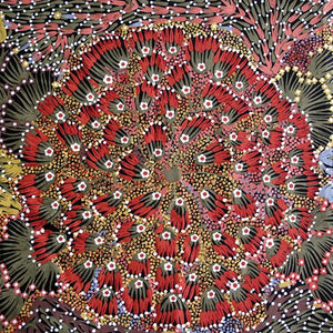 Bush Banana Aboriginal 44" fabric,  M&S Textiles, BB