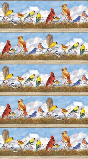 Bird Border Stripe 44" fabric by Northcott,  DP22431-41, Bird Song