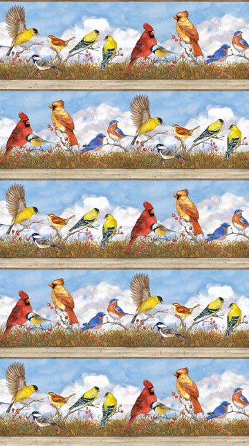 Bird Border Stripe 44" fabric by Northcott,  DP22431-41, Bird Song